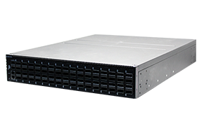 100G-1 Switch